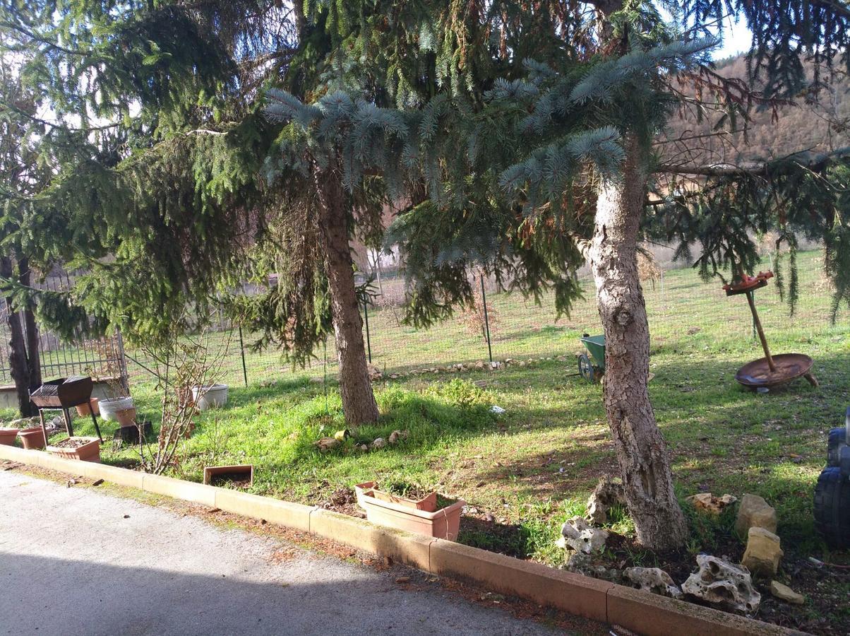 Le Stanze Di Bacco Villa Cagnano Amiterno Dış mekan fotoğraf