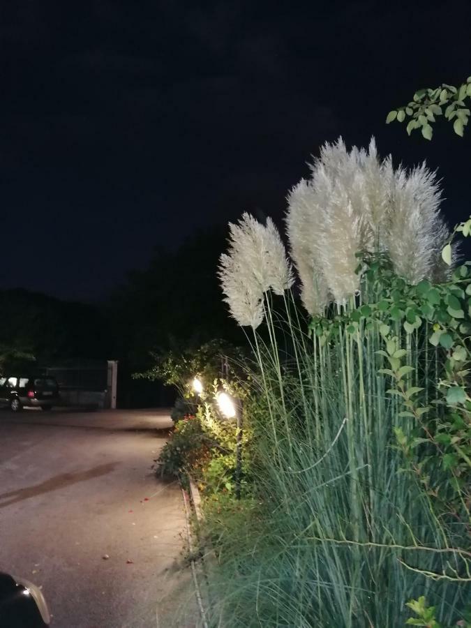 Le Stanze Di Bacco Villa Cagnano Amiterno Dış mekan fotoğraf